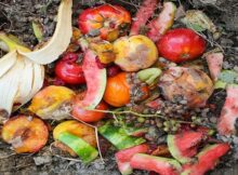 fertilizantes ecologicos